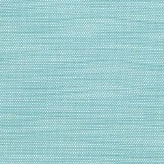 Perennials Ishi Cool Pool 950-19 Galbraith and Paul Collection Upholstery Fabric