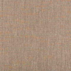 Kravet Contract Heyward Pomello 35746-1211 Performance Kravetarmor Collection Indoor Upholstery Fabric