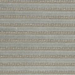 Beacon Hill Juxtaposition-Silver 220247 Decor Upholstery Fabric