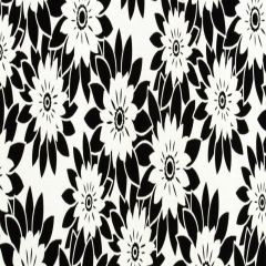 Robert Allen Phantom Manor-Chalkboard 237651 Decor Multi-Purpose Fabric