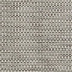 Duralee Iron 36260-388 Decor Fabric
