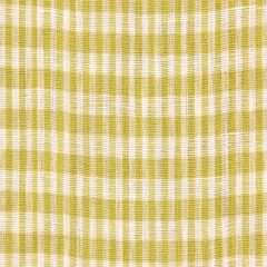 Robert Allen Petit Check Kiwi 215716 Linen Stripes and Plaids Collection Multipurpose Fabric