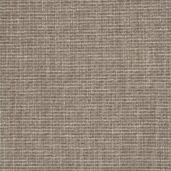 Robert Allen Rustic Tweed Sterling 246752 Tweedy Textures Collection Indoor Upholstery Fabric