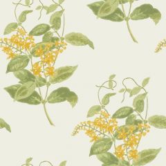 Cole and Son Madras Violet Yellow 100-12059 Archive Anthology Collection Wall Covering