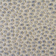Baker Lifestyle Cosma Opal PF50064-566 Multipurpose Fabric