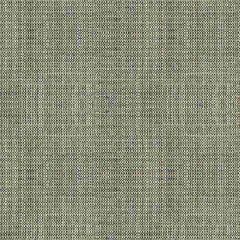 Kravet Rafael Coal 33788-81 Charade Collection by Jonathan Adler Indoor Upholstery Fabric