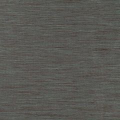 F. Schumacher Pozzo Weave Venetian 63893 Mirage Collection