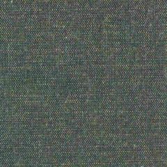 Tempotest Home Sand Raven 1045/14 Solids Collection Upholstery Fabric