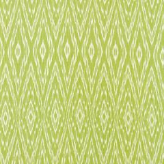 Robert Allen Strie Ikat Leaf 235474 Botanical Color Collection Indoor Upholstery Fabric