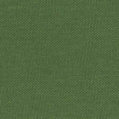 AbbeyShea Suburbia Grass 208 Secret Garden Collection Upholstery Fabric