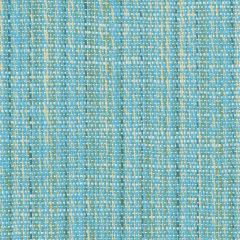 Perennials Stree-Yay! Poolside 942-09 Kidding Around Collection Upholstery Fabric