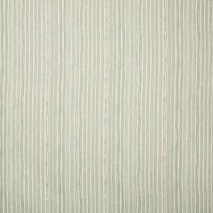 Lee Jofa Benson Stripe Lakeland 2019151-13 Carrier And Company Collection Multipurpose Fabric
