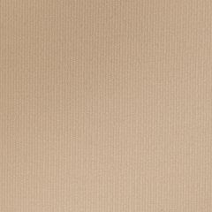 Lee Jofa Entoto Weave Flax 2020109-116 Breckenridge Collection Indoor Upholstery Fabric