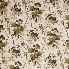 Lee Jofa De La Tour Green / Taupe 2020129-630 by Paolo Moschino Multipurpose Fabric