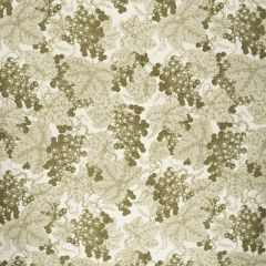 Lee Jofa Farringdon Green 2020133-303 by Paolo Moschino Multipurpose Fabric