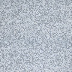 Lee Jofa Safari Cotton Sky 2020164-15 by Paolo Moschino Multipurpose Fabric