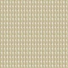 Kravet Rare Coin Platinum 33557-106 Modern Luxe Collection Indoor Upholstery Fabric
