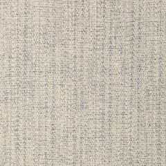 Lee Jofa Alfaro Weave Denim 2021107-5 Triana Weaves Collection Indoor Upholstery Fabric
