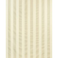 Lee Jofa Avenue Stripe Grey On White 2022120-1101 Persepolis Collection by Paolo Moschino Multipurpose Fabric