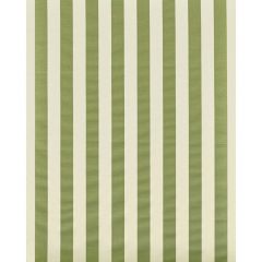 Lee Jofa Avenue Stripe Green On White 2022120-3 Persepolis Collection by Paolo Moschino Multipurpose Fabric
