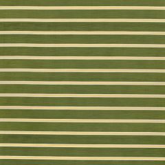 Lee Jofa Horizon Stripe Blush / Dk Green 2024105-317 by Paolo Moschino Multipurpose Fabric