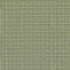 Lee Jofa Pied De Poule Dark Green 2024108-31 by Paolo Moschino Multipurpose Fabric