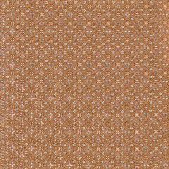 Lee Jofa Hadiqa Terracotta 2025101-24 Mediterraneo Collection Multipurpose Fabric