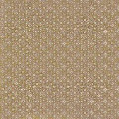 Lee Jofa Hadiqa Ochre 2025101-4 Mediterraneo Collection Multipurpose Fabric