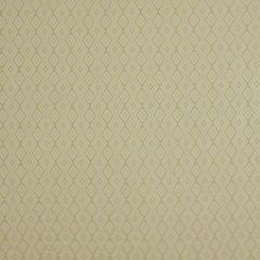 Beacon Hill Carcova Frost 204048 Indoor Upholstery Fabric