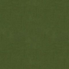 ABBEYSHEA Luscious 27 Loden Indoor Upholstery Fabric