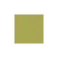 Kravet Basics  20467-3 Perfect Plains Collection Multipurpose Fabric