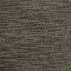 Beacon Hill River Current Smoke 205679 Indoor Upholstery Fabric