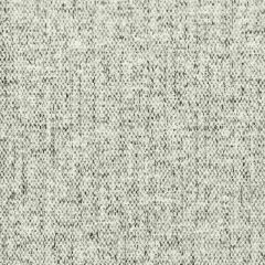 Stout Diocese Grey 2 Light N' Easy Performance Collection Indoor Upholstery Fabric