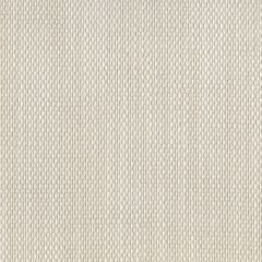 Perennials Rough 'n Rowdy Sea Salt 955-124 Beyond the Bend Collection Upholstery Fabric