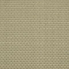 Beacon Hill Palomar Smoke Color Library Collection Indoor Upholstery Fabric