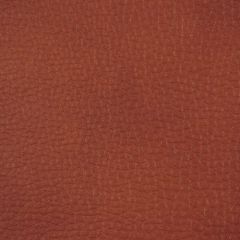 Beacon Hill Elefante Clay 207037 Indoor Upholstery Fabric