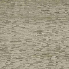 Beacon Hill Eva Velvet Granite Indoor Upholstery Fabric