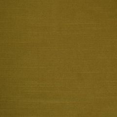 Robert Allen Gentle Dream Leek Essentials Collection Indoor Upholstery Fabric