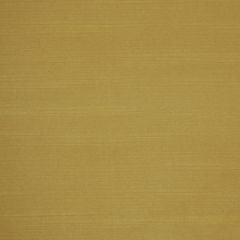 Robert Allen Gentle Dream Wheat 208854 Indoor Upholstery Fabric
