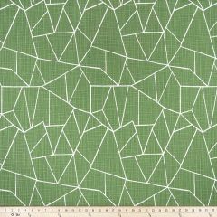 Premier Prints Cut Glass Pine / Slub Canvas Shibori Theory Collection Multipurpose Fabric