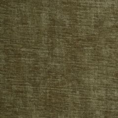 Robert Allen Orizzonte Twine 209329 Indoor Upholstery Fabric