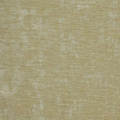 Robert Allen Orizzonte Wicker 209351 Indoor Upholstery Fabric