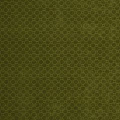 Robert Allen Gaudi Leek 209356 Indoor Upholstery Fabric