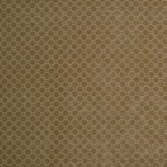 Robert Allen Gaudi Honey 209364 Indoor Upholstery Fabric