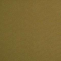 Robert Allen Sunbrella Speckles Honeysuckle Essentials Collection Upholstery Fabric