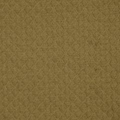 Robert Allen Sunbrella Diamond Park Twine Essentials Collection Upholstery Fabric
