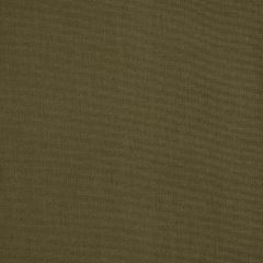 Robert Allen Sunbrella Realistic Twine Essentials Collection Upholstery Fabric