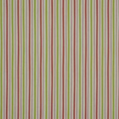 Robert Allen Zoo Stripe Pink 209932 By Dwellstudio Drapery Fabric