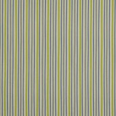 Robert Allen Zoo Stripe Grey 209933 By Dwellstudio Drapery Fabric