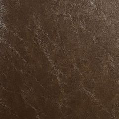 ABBEYSHEA Glaze 001 Amber Indoor Upholstery Fabric